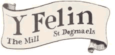 yfelinbanner.gif (14750 bytes)